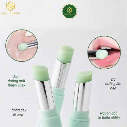 Son dưỡng Y.N.M Fresh Green Lip Balm ( Phiên bản mới)