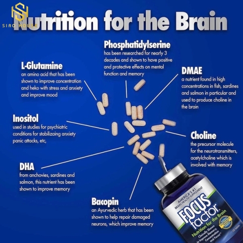 Thực phẩm chức năng Viên Uống Bổ Não focus factor nutrition for the brain 150 tablets Mỹ