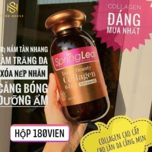 Viên Uống Collagen 6 in 1 Spring Leaf Inner Beauty Của Úc (90 viên)