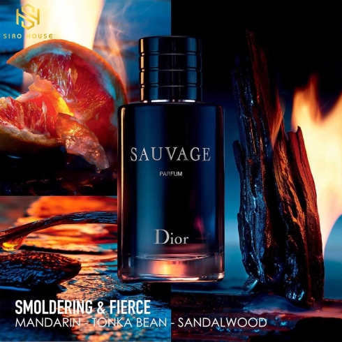 Nước hoa nam DIOR Dior Sauvage EDP 