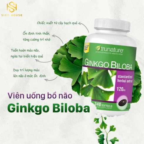 Viên uống bổ não TRUNATURE Ginkgo Biloba 120mg (340 viên)