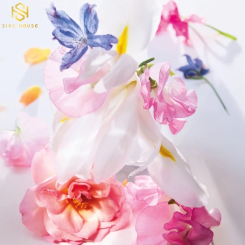 Nước Hoa Miss Dior Eau De Parfum - Nồng Nàn, Quyến Rũ