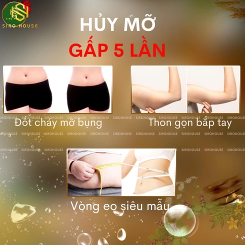  Trà giảm mỡ HAYARI Genpi Tea Premium 36 túi lọc + Tặng 1 gói nhỏ 7 túi lọc