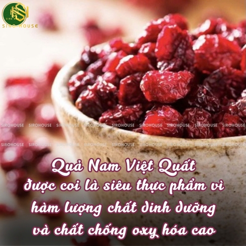 Nam việt quất sấy OCEAN SRAY Craisins Dried Cranberries 1.81kg