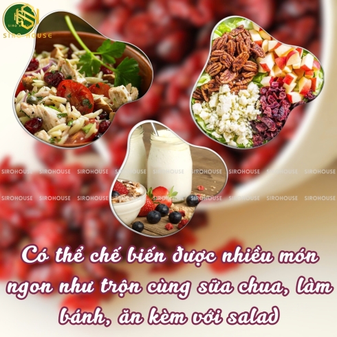 Nam việt quất sấy OCEAN SRAY Craisins Dried Cranberries 1.81kg