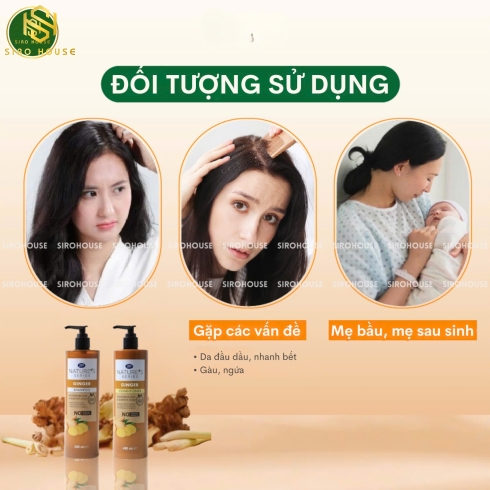 Bộ gội xả gừng BOOTS NATURE