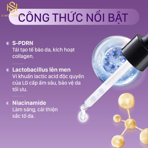 Tinh chất hỗ trợ tái sinh CNP Pdrn Derma Answer Active Boost Ampule 15mL